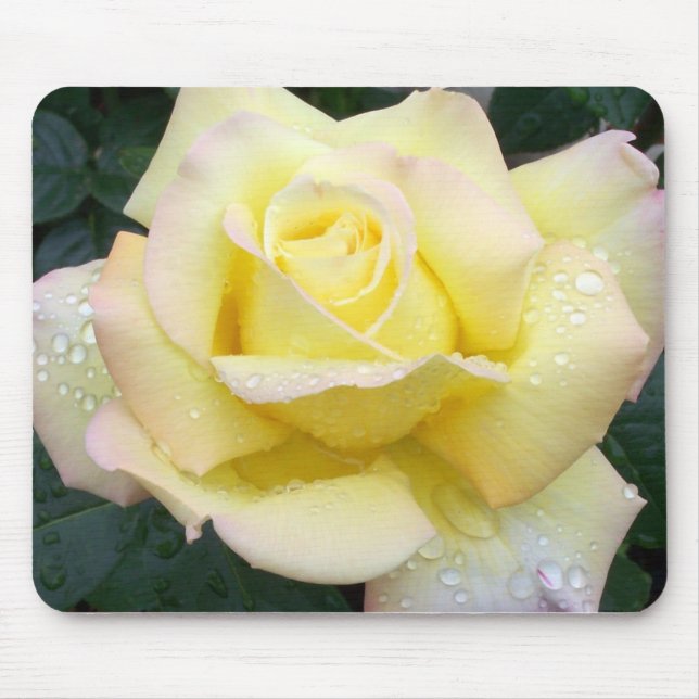 Peace Rose Mousepad (Vorne)