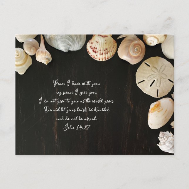Peace Scripture Comfort Seashells Wood Postkarte (Vorderseite)