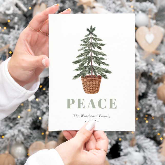 Peace Simple Christmas Evergreen Tree Feiertagspostkarte (Von Creator hochgeladen)