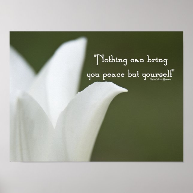 Peace Tulip Poster (Vorne)