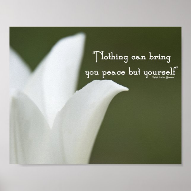 Peace Tulip Poster (Vorne)