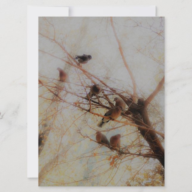 Peaceful Birds Flat Card (Vorderseite)