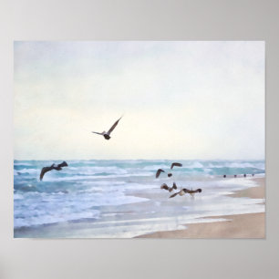 Peaceful Sea Birds at Shore Watercolor Style Print Poster