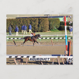 Peaceful Talk Wins on New Year's Day Feiertagspostkarte