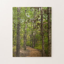 Peaceful Walk Puzzle