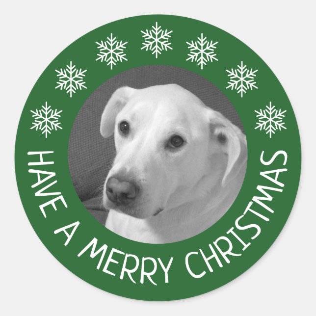 Peaceful White Dog Photo Merry Christmas Green Runder Aufkleber (Vorderseite)
