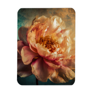 Peach Beauty Magnet