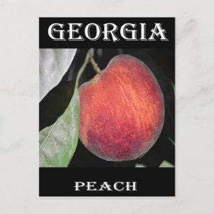Peach (Begriffsklärung) Postkarte