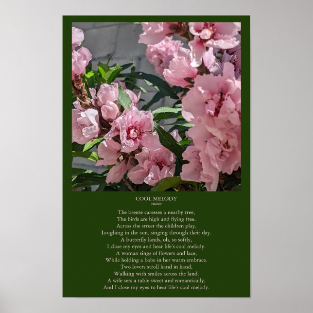 Peach Blossom Foto mit Coolen Melody Gedicht Poster (Vorne)