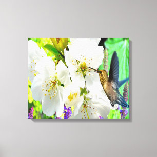 Peach Blossom Hummingbird Leinwanddruck