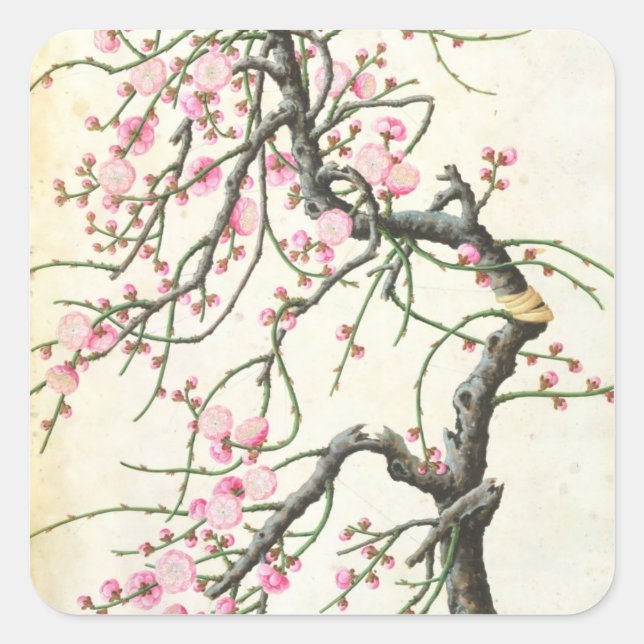 Peach Blossom Quadratischer Aufkleber (Vorderseite)