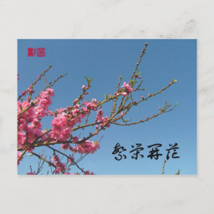 Peach Blossom Tree Postkarte