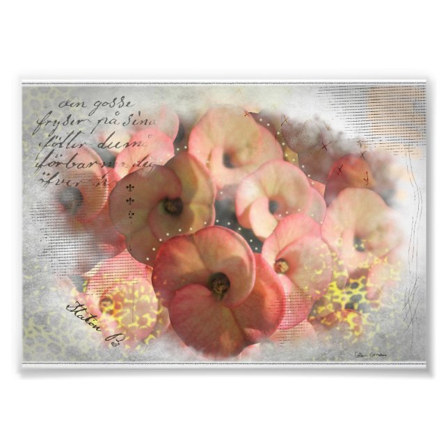 Peach Blume Mix Media Fotodruck (Vorne)