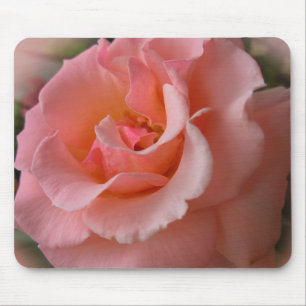 Peach Blume Mousepad Wilde Rose Dekoration Geschen