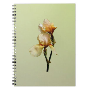Peach Colored Irises Notizblock