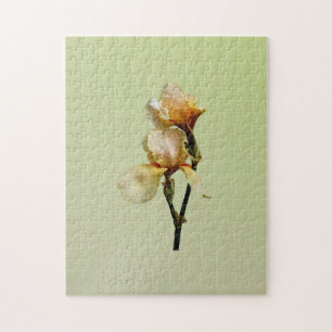 Peach Colored Irises Puzzle