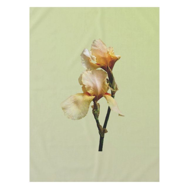 Peach Colored Irises Tischdecke (Vorderseite)