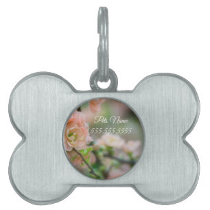 Peach Flower Quince Pet Tag Tiermarke