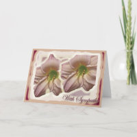Peach Lilien Sympathiekarte
