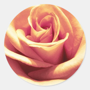 Peach-Orange-Umschlag Aufkleber-Aufkleber Runder Aufkleber