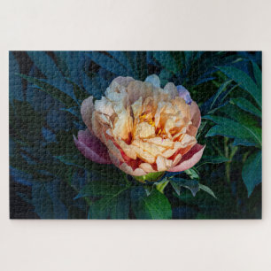 Peach Peony - Romantische Blumenfotografie Puzzle