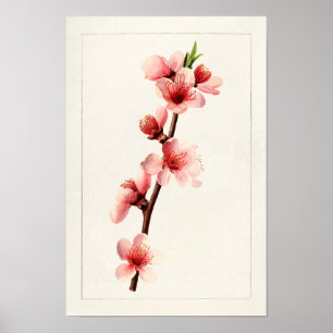 Peach Pink Blume Aquarellmalerei Poster