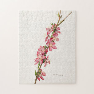 Peach Pink Blume Aquarellmalerei Puzzle