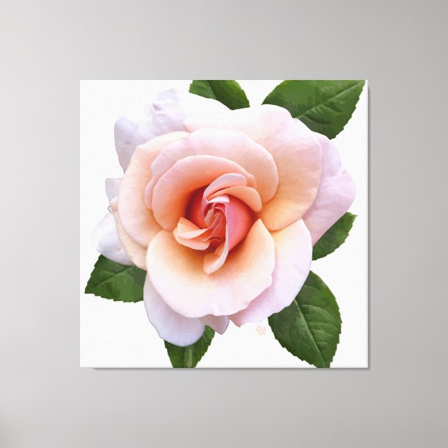 Peach Rose Canvas Print Leinwanddruck (Vorderseite)