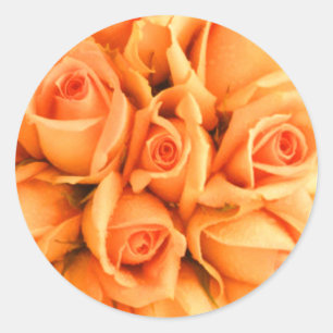 Peach Rose Hochzeitsticker für Umschlag Aufkleber