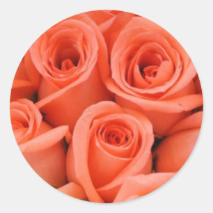 Peach Rose Hochzeitsticker und Umschlag Aufkleber