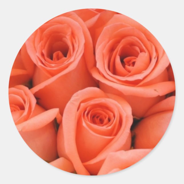 Peach Rose Hochzeitsticker und Umschlag Aufkleber (Vorderseite)