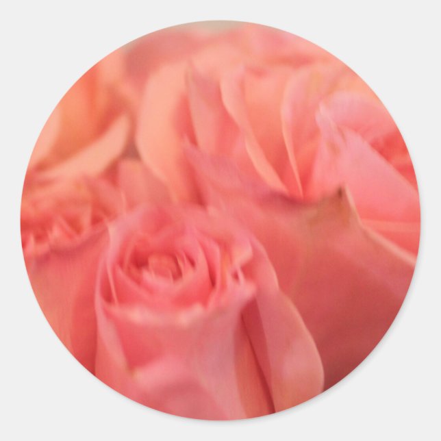 Peach Rose Hochzeitsticker und Umschlag Aufkleber (Vorderseite)