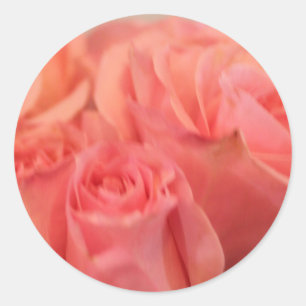 Peach Rose Hochzeitsticker und Umschlag Aufkleber