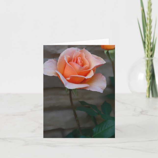 Peach-Rose Karte (Vorderseite)