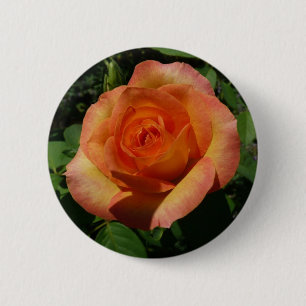 Peach Rose Orange Floral Fotografie Button