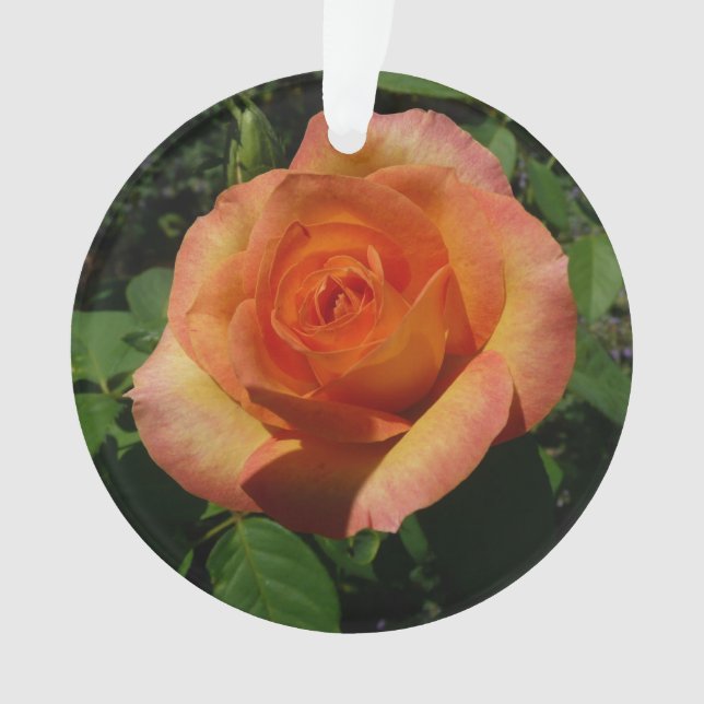 Peach Rose Orange Floral Fotografie Ornament (Vorderseite)