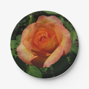 Peach Rose Orange Floral Fotografie Pappteller