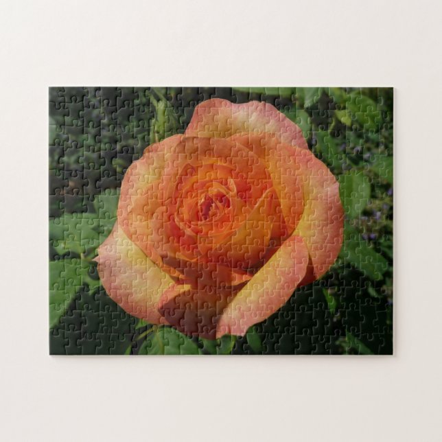 Peach Rose Orange Floral Fotografie Puzzle (Horizontal)