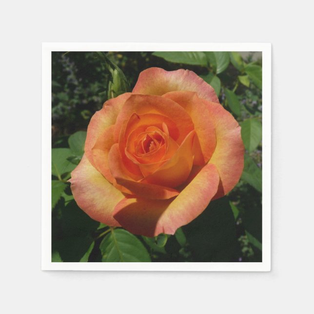 Peach Rose Orange Floral Fotografie Serviette (Vorderseite)