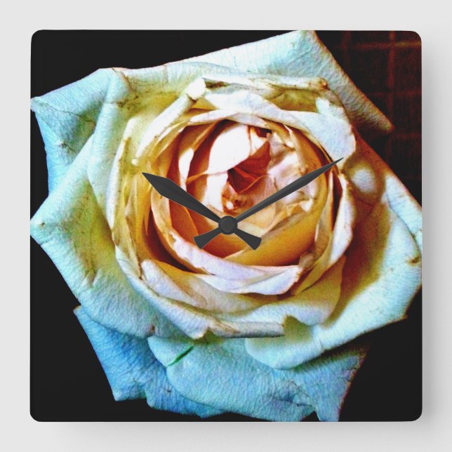 Peach-Rose Quadratische Wanduhr (Vorderseite)
