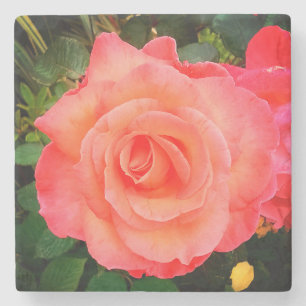 Peach-Rose Steinuntersetzer