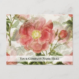 Peach Rose Unternehmensbefragung Feedback Postcard Postkarte