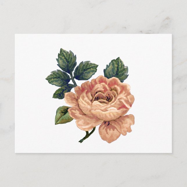 Peach Rose - Vintag Makeover. Postkarte (Vorderseite)