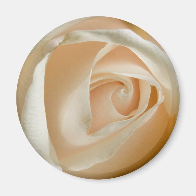 Peach Rose Wedding Magnet (Vorne)
