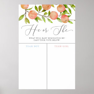 Peach Theme Gender Reveal Stimmabgabe Poster