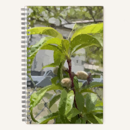 Peach Tree Bullet Journal Notizbuch