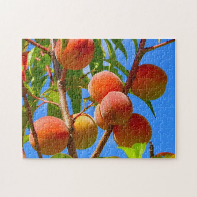 Peach tree puzzle (Horizontal)