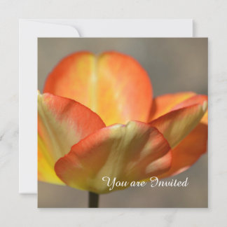 Peach Tulip Blume Geburtstag Einladung