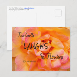 Peach Yellow Pink Blend Rose Blume Foto Postkarte
