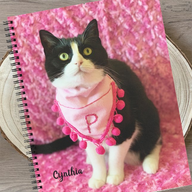 Peaches the Tuxedo Cat 8 1/2 x 11 Notebook Notizbuch (Von Creator hochgeladen)